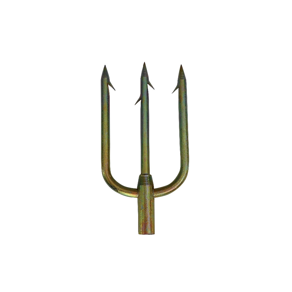 Company's Photo Album