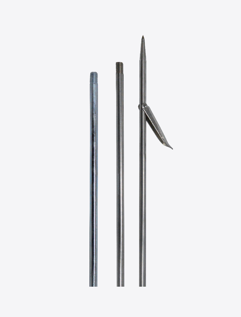 Company's Photo Album